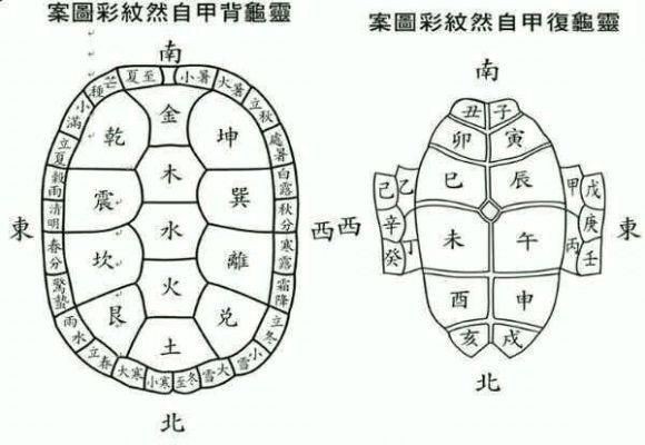 家里養(yǎng)白化龜好嗎吉利嗎【家養(yǎng)哪種龜最適合家里養(yǎng)白化龜招財鎮(zhèn)宅這幾種龜最適合家養(yǎng)】