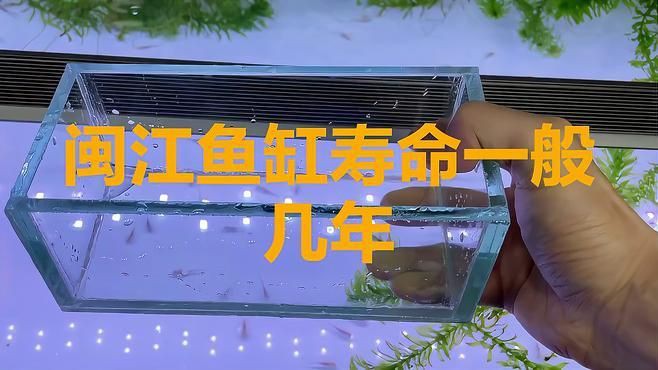 閩江魚缸壽命一般幾年【閩江魚缸壽命一般幾年創新邊界】