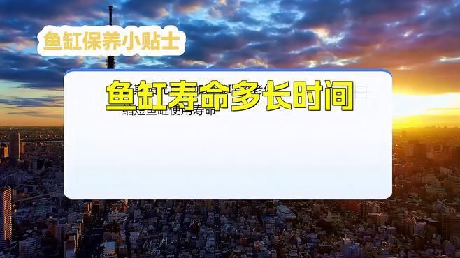 閩江魚缸壽命一般幾年【閩江魚缸壽命一般幾年創新邊界】