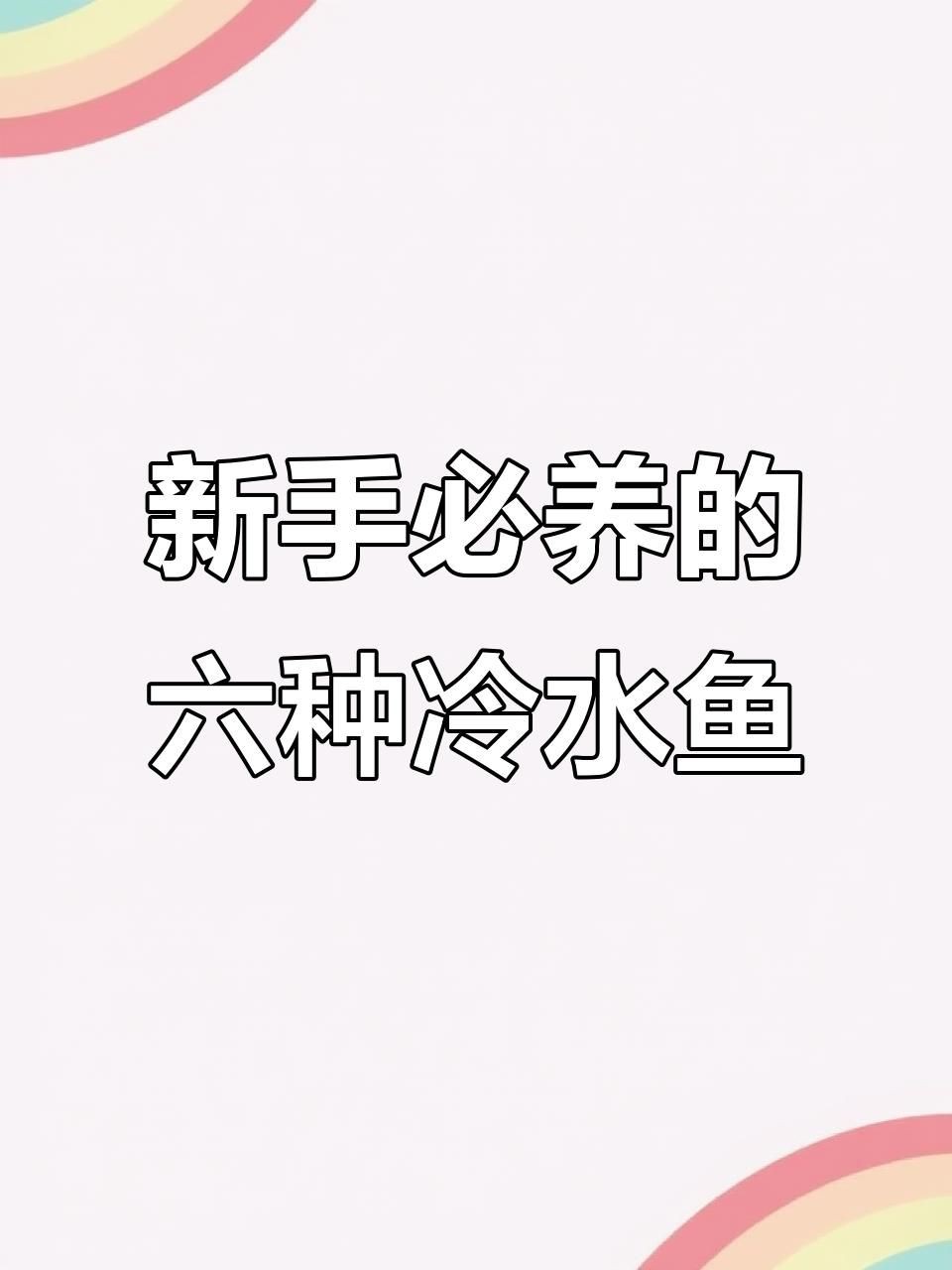 有哪些適合新手養殖的冷水魚【五種最好養的冷水魚，皮實漂亮又便宜】 有哪些適合新手養殖的冷水魚【五種最好養的冷水魚，皮實漂亮又便宜】 龍魚百科 第5張