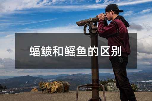 世界上最大的鰩魚(yú)【世界上最大的鰩魚(yú)\