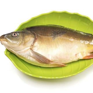 東北三道鱗魚多少錢一斤【2025年8月東北地區三道鱗魚價格分析】 東北三道鱗魚多少錢一斤【2025年8月東北地區三道鱗魚價格分析】 龍魚論壇 第5張