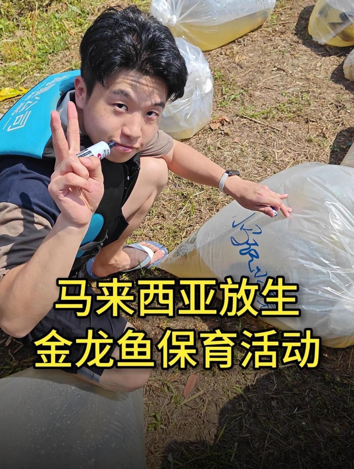 馬來西亞龍魚【馬來西亞龍魚的神秘世界】