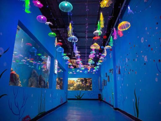 安陽水族店【安陽哪家水族店口碑最好】 安陽水族店【安陽哪家水族店口碑最好】 全國水族館企業名錄 第1張