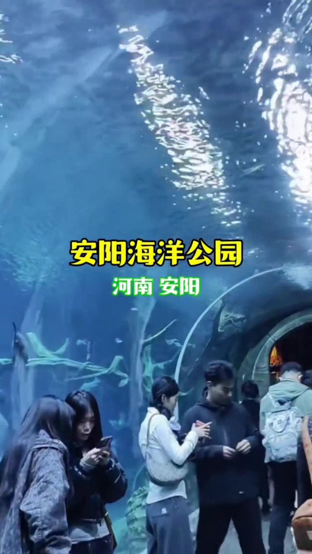 安陽水族店【安陽哪家水族店口碑最好】 安陽水族店【安陽哪家水族店口碑最好】 全國水族館企業名錄 第2張