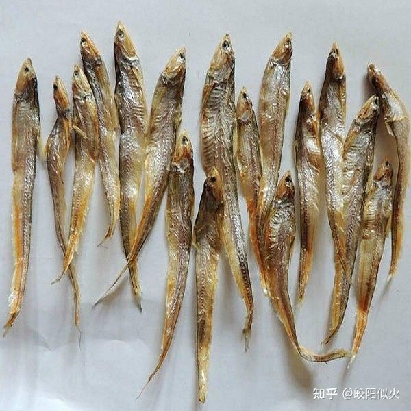 毛魚是什么魚【巢湖毛魚富含什么營養(yǎng)價值及功效王春華江蘇毛魚是什么魚】