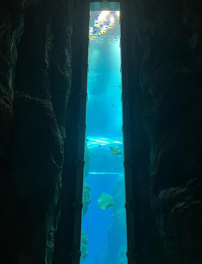 世界上最大的海洋館【世界上規模最大的海洋館】 世界上最大的海洋館【世界上規模最大的海洋館】 龍魚論壇 第2張