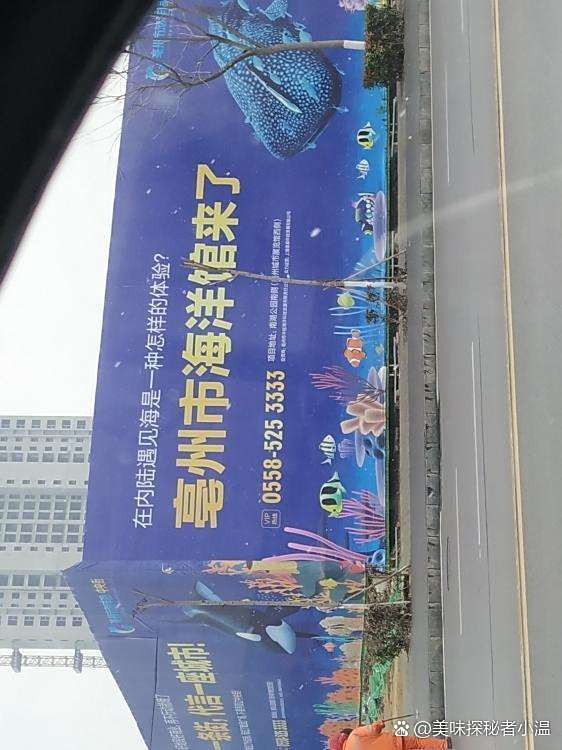 亳州水族店【九月碼頭水族空間在亳州市首屆《最具口碑水族店》評選活動中榮獲冠軍】 亳州水族店【九月碼頭水族空間在亳州市首屆《最具口碑水族店》評選活動中榮獲冠軍】 全國水族館企業名錄 第1張