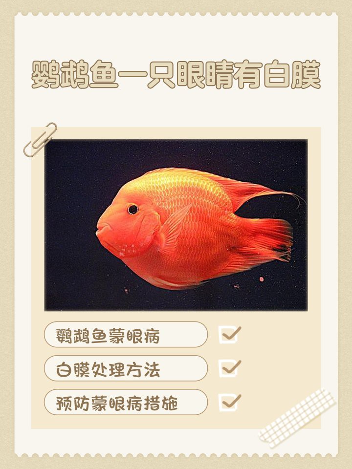 白膜魚眼病最忌三種東西【白膜魚眼病最忌三種東西，白膜魚眼病最快治好3步搞定】