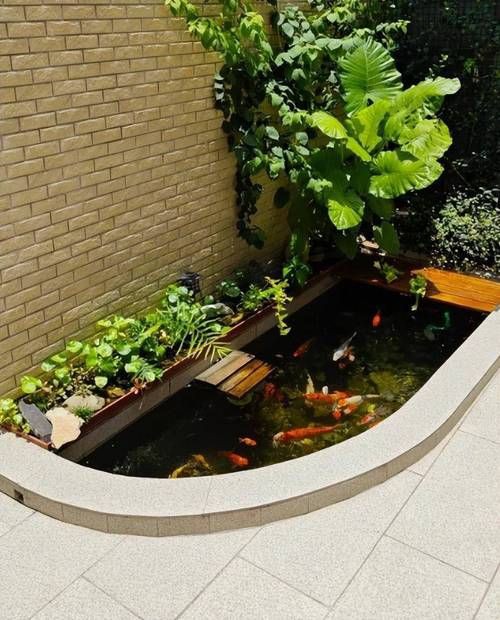 樓頂露臺魚池效果圖【《樓頂露臺魚池效果圖》】