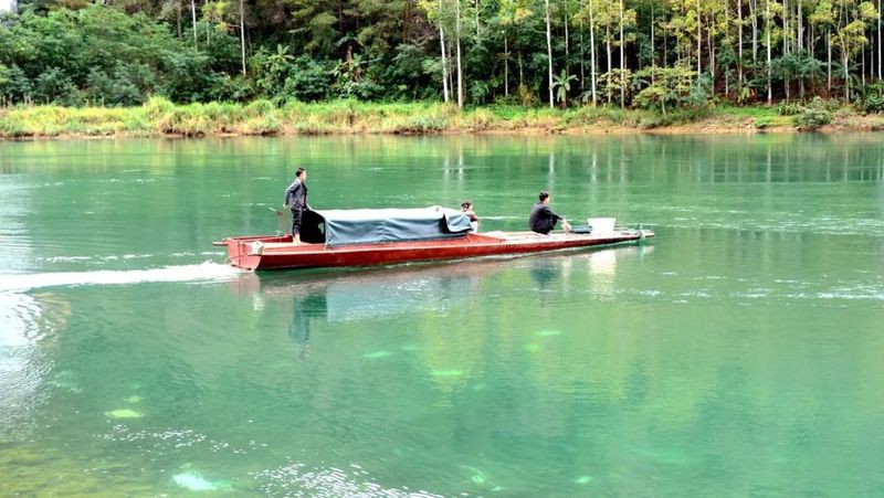 冊亨水族店【冊亨縣小康水族寵物店】