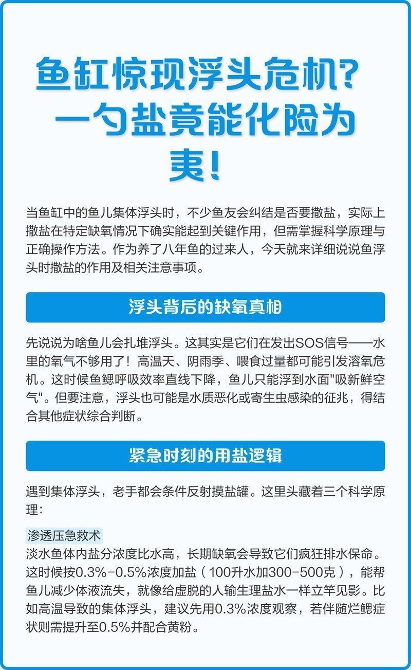魚缸加鹽魚都上浮了【壓魚缸加鹽魚都上浮了】 魚缸加鹽魚都上浮了【壓魚缸加鹽魚都上浮了】 龍魚百科 第7張