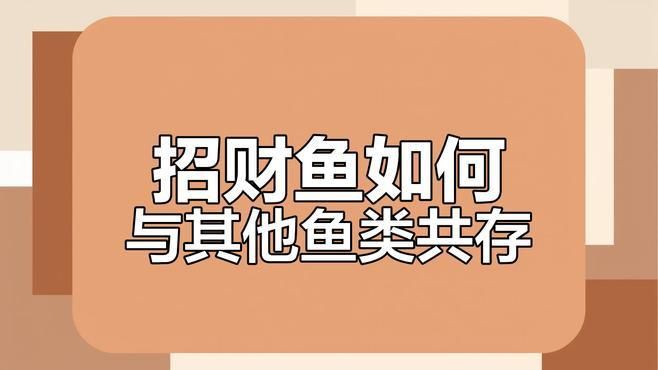 招財龍魚混養注意事項有哪些？【招財龍魚混養注意事項】