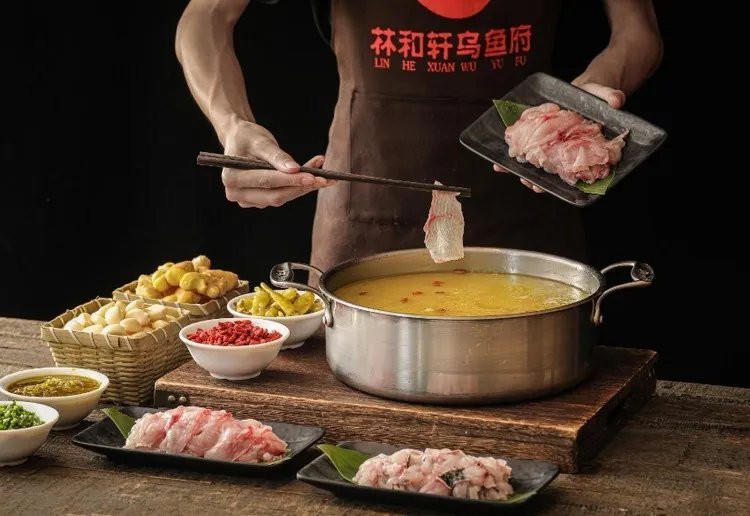 宜賓縣龍魚店【四川省人民政府龍魚店】 宜賓縣龍魚店【四川省人民政府龍魚店】 全國水族館企業(yè)名錄 第2張