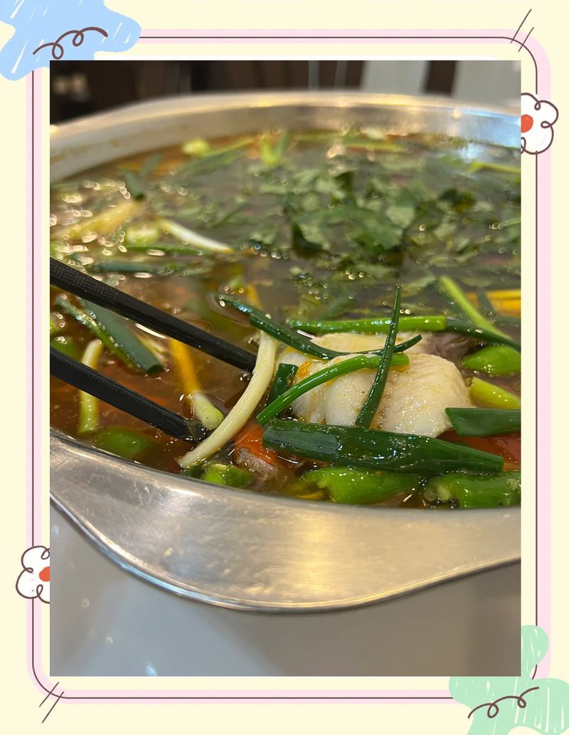 宜賓縣龍魚店【四川省人民政府龍魚店】 宜賓縣龍魚店【四川省人民政府龍魚店】 全國水族館企業(yè)名錄 第1張