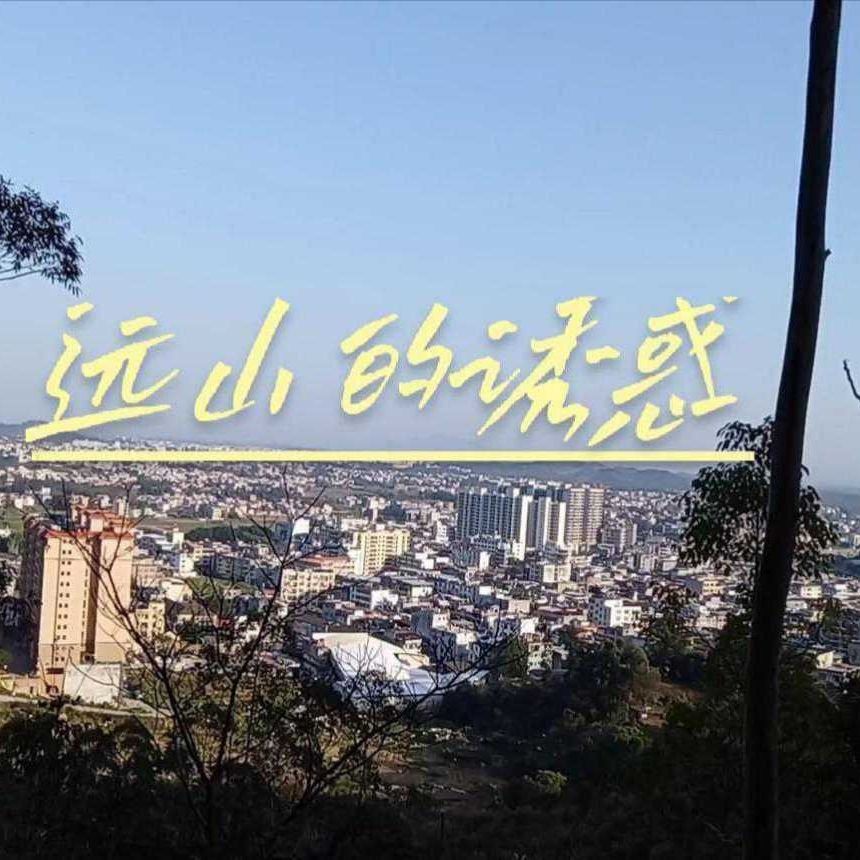 鯨魚的寓意和象征【鯨魚作為海洋中的獵鯨傳統(tǒng)與全球護(hù)鯨運動持續(xù)發(fā)展理念】 鯨魚的寓意和象征【鯨魚作為海洋中的獵鯨傳統(tǒng)與全球護(hù)鯨運動持續(xù)發(fā)展理念】 龍魚百科 第6張