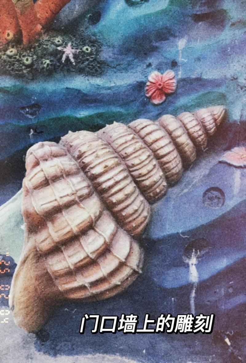 泉州水族館【泉州三點水族館游玩攻略】