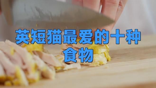 貓最愛吃的10種食物【養貓必看:這些寶藏貓食多給貓吃全民小視頻】