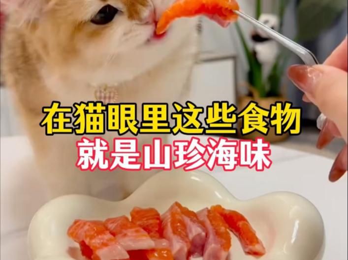貓最愛吃的10種食物【養貓必看:這些寶藏貓食多給貓吃全民小視頻】