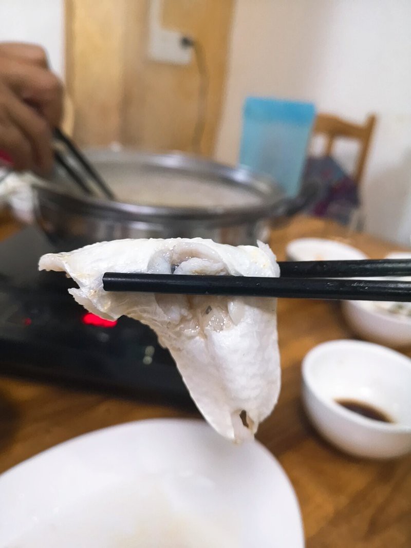 五峰龍魚店【五峰龍魚店有哪些特色服務】