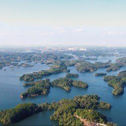 眉山水族店【眉山地區的水族店分布廣泛且各具特色為當地居民及愛好者提供了豐富的選擇】