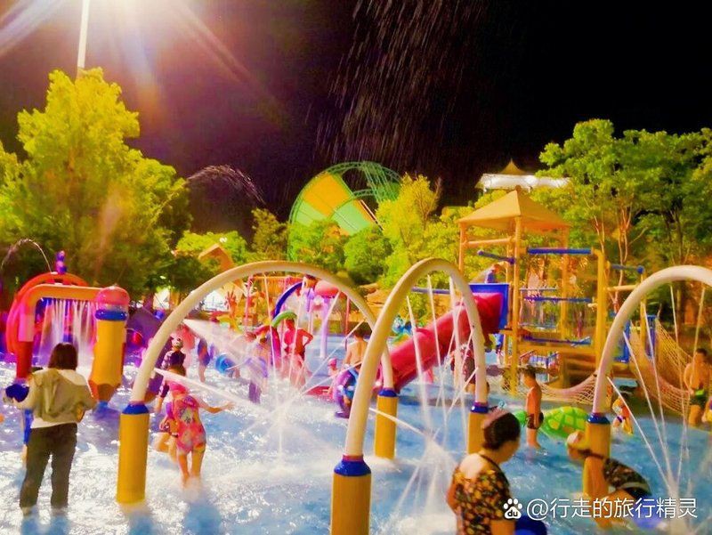 眉山水族店【眉山地區的水族店分布廣泛且各具特色為當地居民及愛好者提供了豐富的選擇】