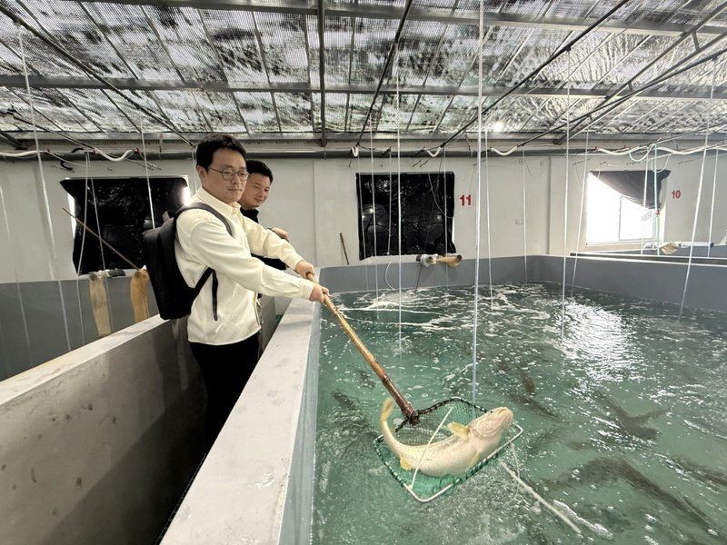眉山水族店【眉山地區的水族店分布廣泛且各具特色為當地居民及愛好者提供了豐富的選擇】