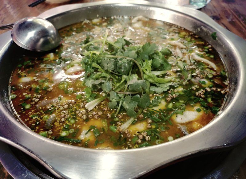 眉山水族店【眉山地區的水族店分布廣泛且各具特色為當地居民及愛好者提供了豐富的選擇】