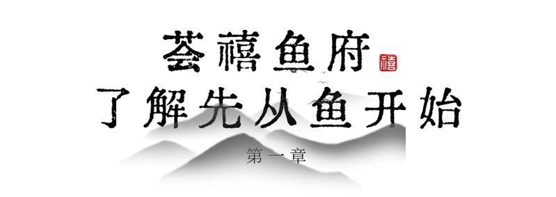 眉山水族店【眉山地區的水族店分布廣泛且各具特色為當地居民及愛好者提供了豐富的選擇】