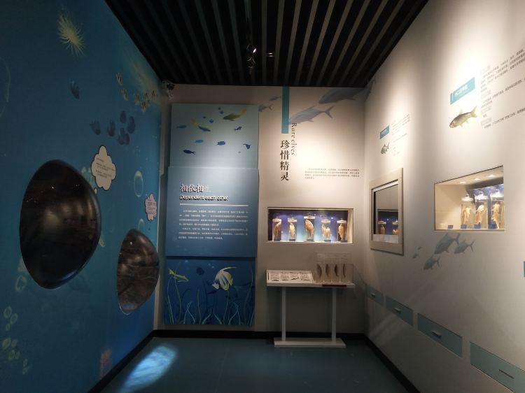 大化水族店【大化紅水河水族館】 大化水族店【大化紅水河水族館】 全國水族館企業名錄 第1張