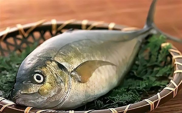 世界十大頂級食用魚【百度文庫，10種世界頂級食用魚，看有幾條來自中國】