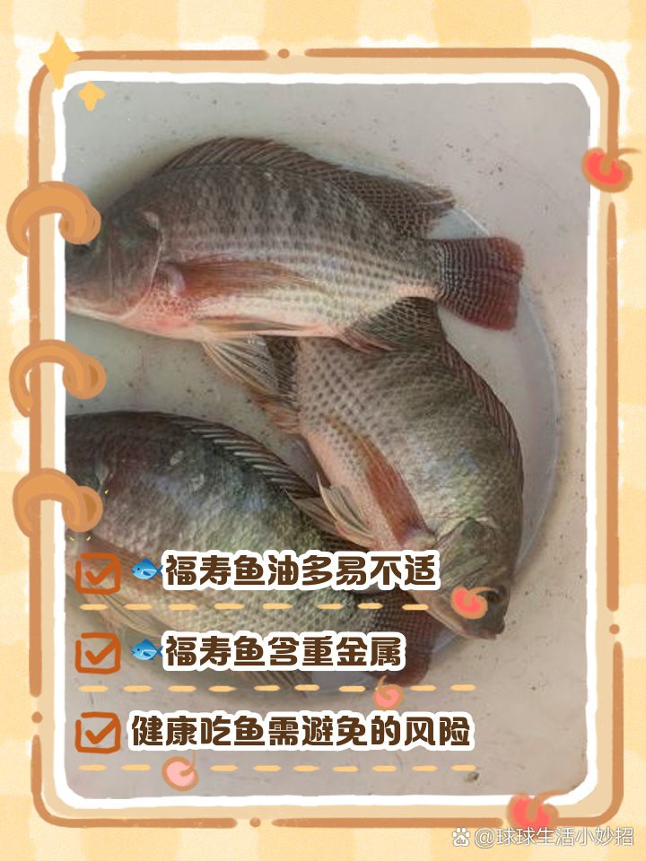 福壽魚對人體的害處【福壽魚的危害】