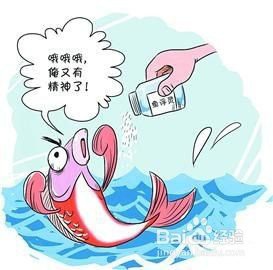 什么藥叫魚缺氧上浮【\
