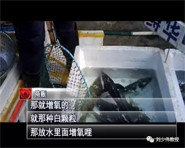 什么藥叫魚缺氧上浮【\