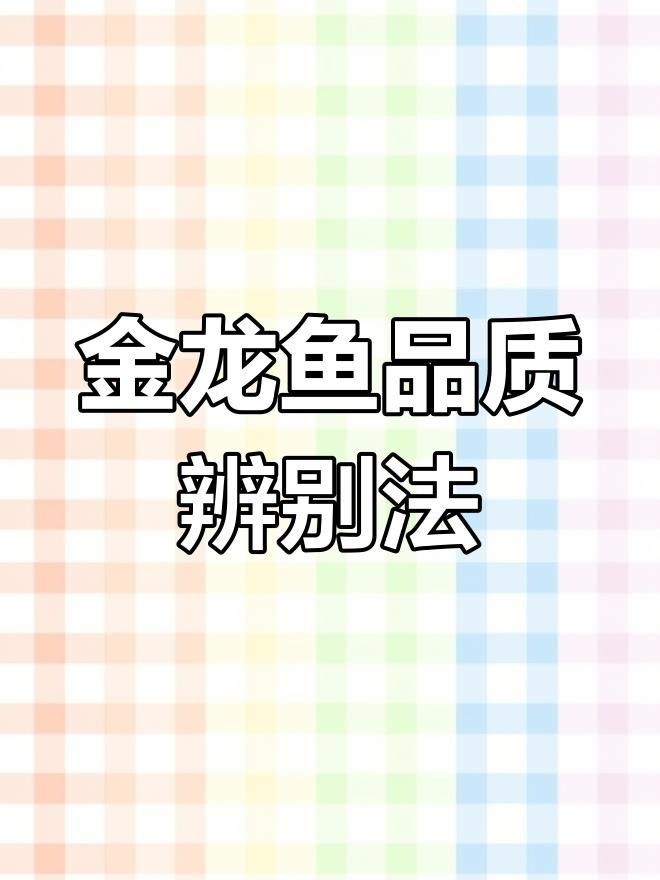 如何鑒別金頭過背金龍魚的品質？【如何區分金頭過背金龍魚的品質優劣】