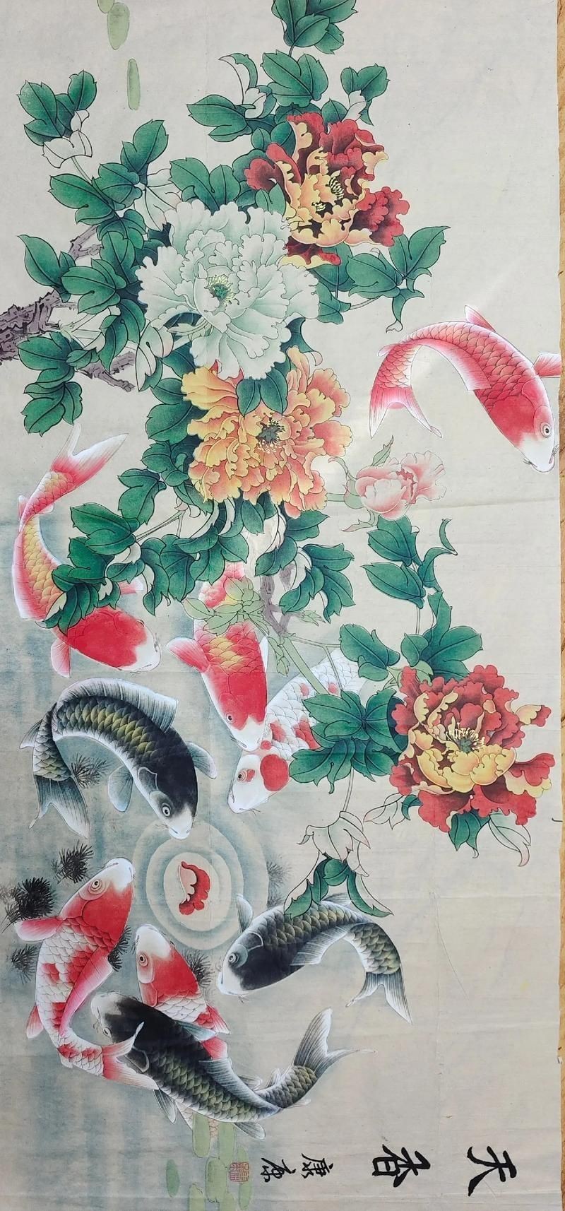 牡丹魚圖片【養(yǎng)魚老道，三色牡丹，兩種小型觀賞魚，引出一個(gè)難解的謎題】