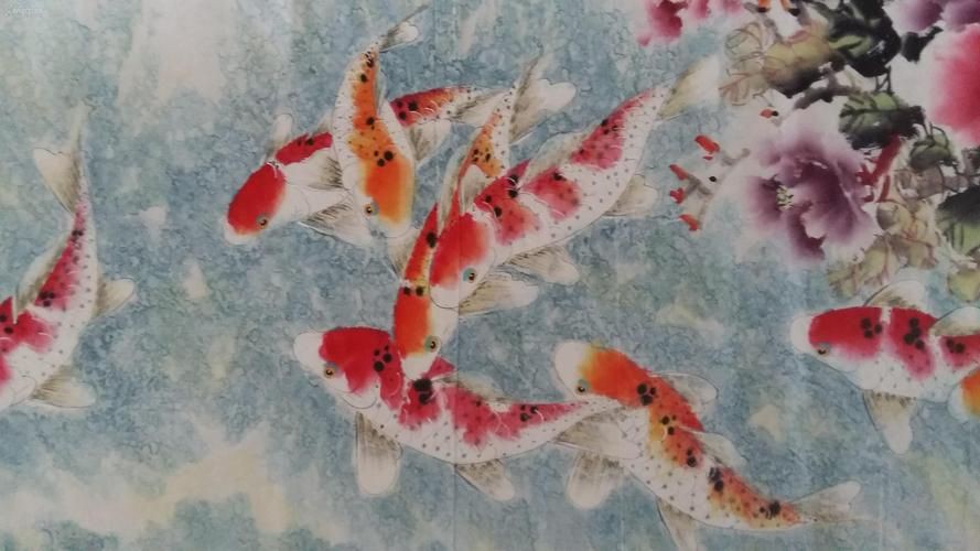 牡丹魚圖片【養(yǎng)魚老道，三色牡丹，兩種小型觀賞魚，引出一個(gè)難解的謎題】