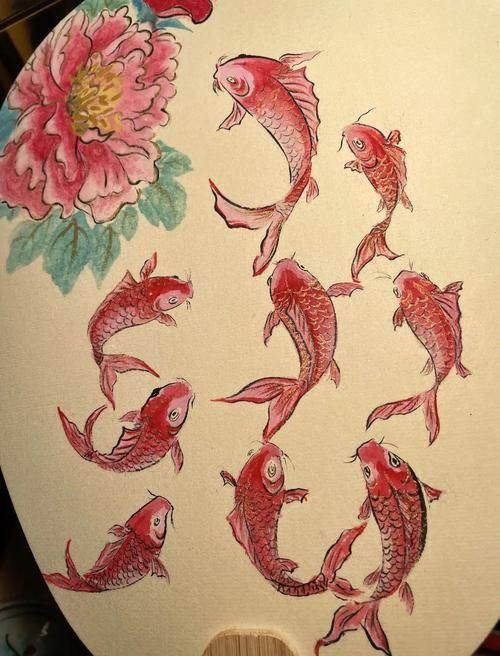 牡丹魚圖片【養(yǎng)魚老道，三色牡丹，兩種小型觀賞魚，引出一個(gè)難解的謎題】