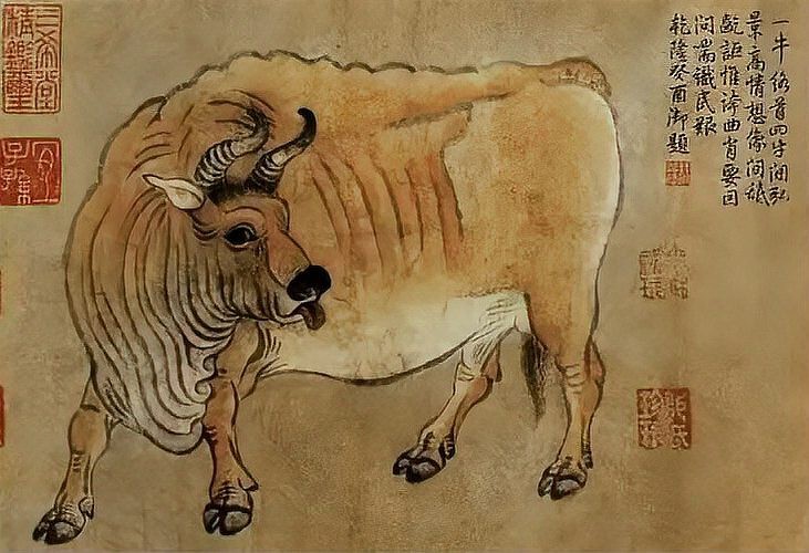 福魚在佛家暗示什么【《福信仰中的福魚什么》】 福魚在佛家暗示什么【《福信仰中的福魚什么》】 龍魚論壇 第1張