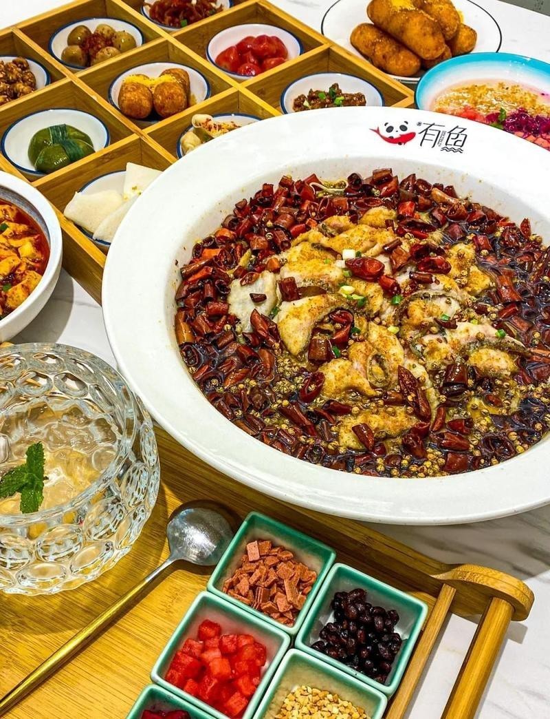 東麗龍魚店【東麗區龍魚相關店鋪有哪些】