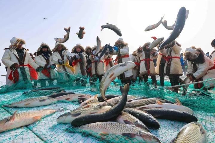 <strong><mark>博湖</mark></strong>龍魚店【博斯騰湖<strong><mark>博湖</mark></strong>龍魚店】