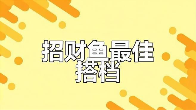 招財魚和哪些魚混養最和諧？【招財魚與其他魚類混養的和諧組合具有重要實踐意義】