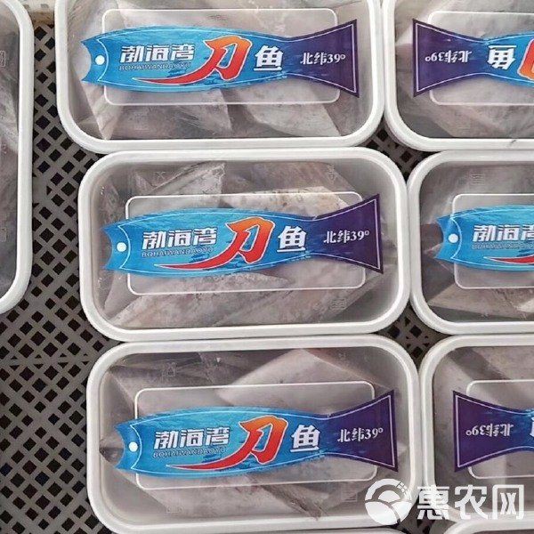 海刀魚價格一覽表【海刀魚價格一般多少錢一斤】