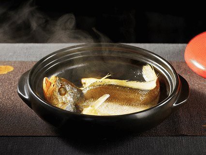如東龍魚店【南通丨如東龍魚店有哪些品種】