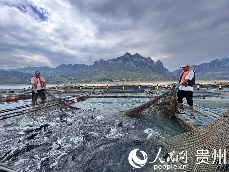 萬源龍魚店【萬源龍魚店有哪些特色】