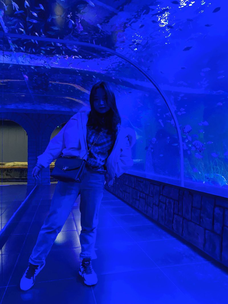 興化水族店【興化市可麗愛水族店口碑最好如何聯系興化市可麗愛水族店】 興化水族店【興化市可麗愛水族店口碑最好如何聯系興化市可麗愛水族店】 全國水族館企業名錄 第6張
