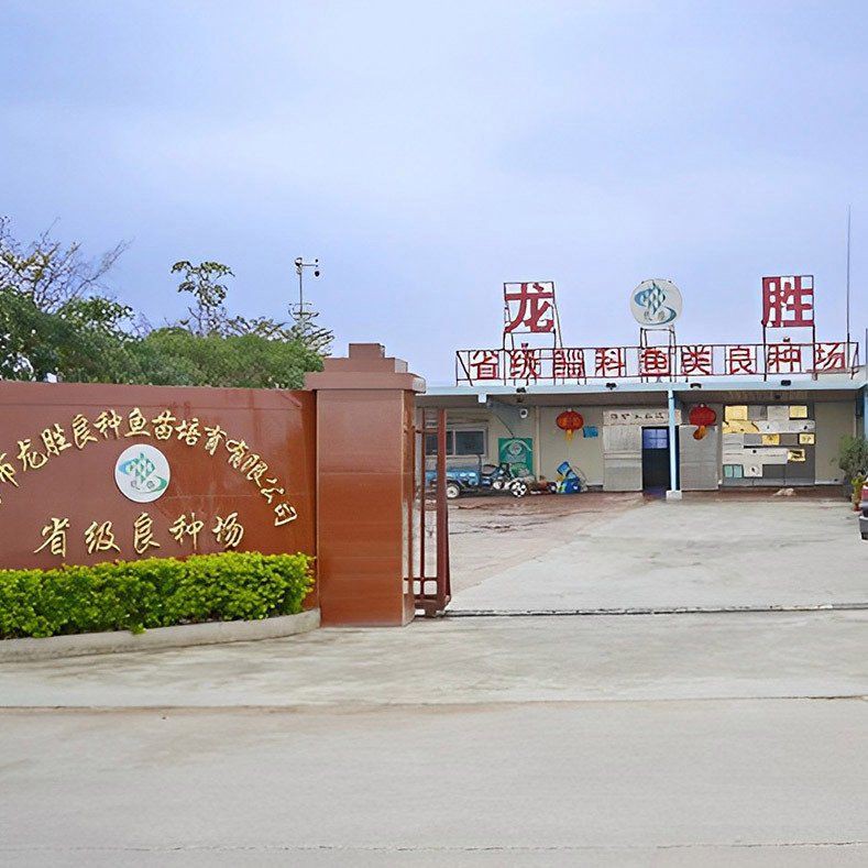 離我最近的魚苗【《離我最近的魚苗》】