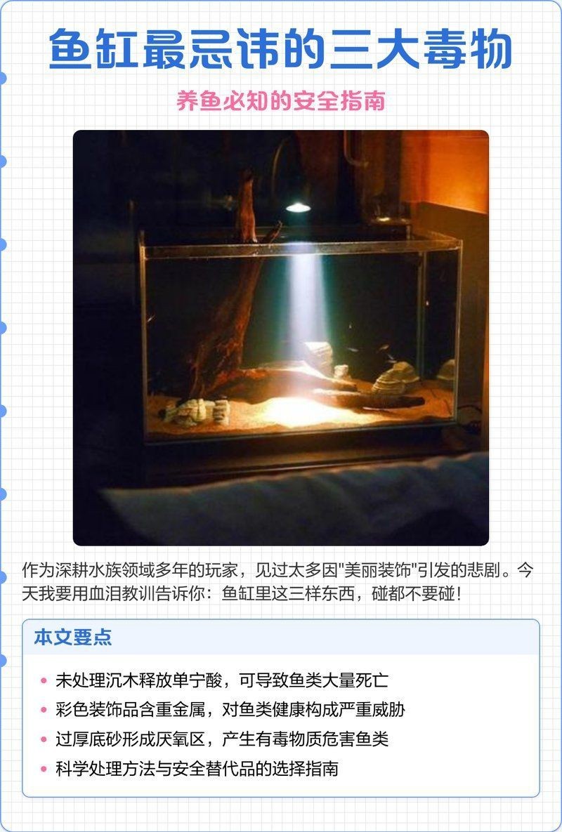 吉印魚缸最忌三個東西【觀賞魚缸養護三忌與科學解決方案，魚缸養護三大禁忌】