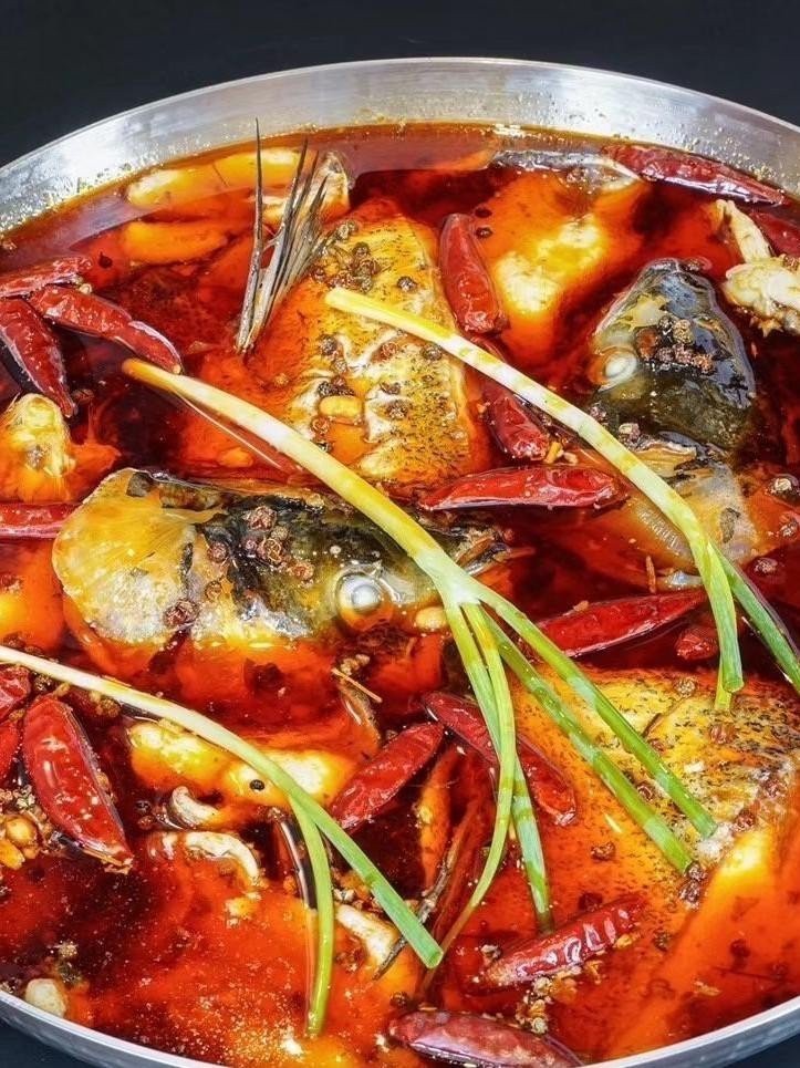 南溪龍魚店【南溪龍魚店營業時間】