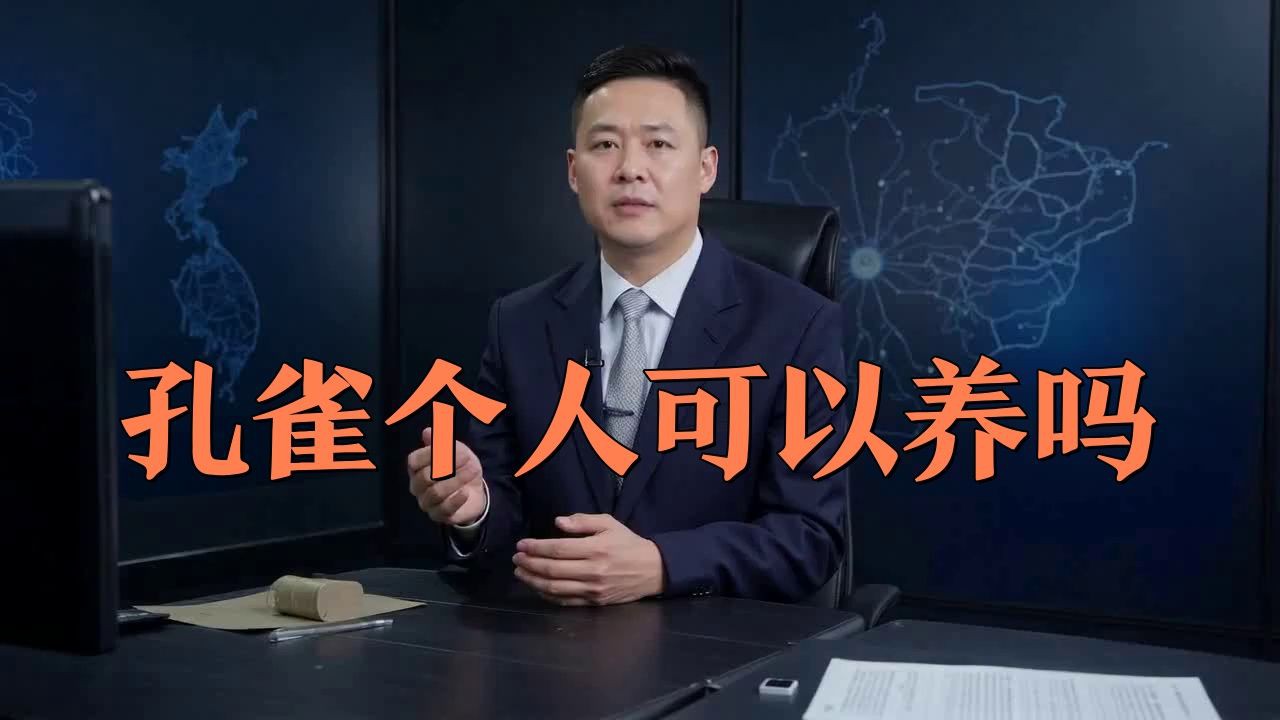 孔雀為啥不能隨便養(yǎng)【《孔雀為啥不能隨便養(yǎng)》】 孔雀為啥不能隨便養(yǎng)【《孔雀為啥不能隨便養(yǎng)》】 龍魚百科 第4張